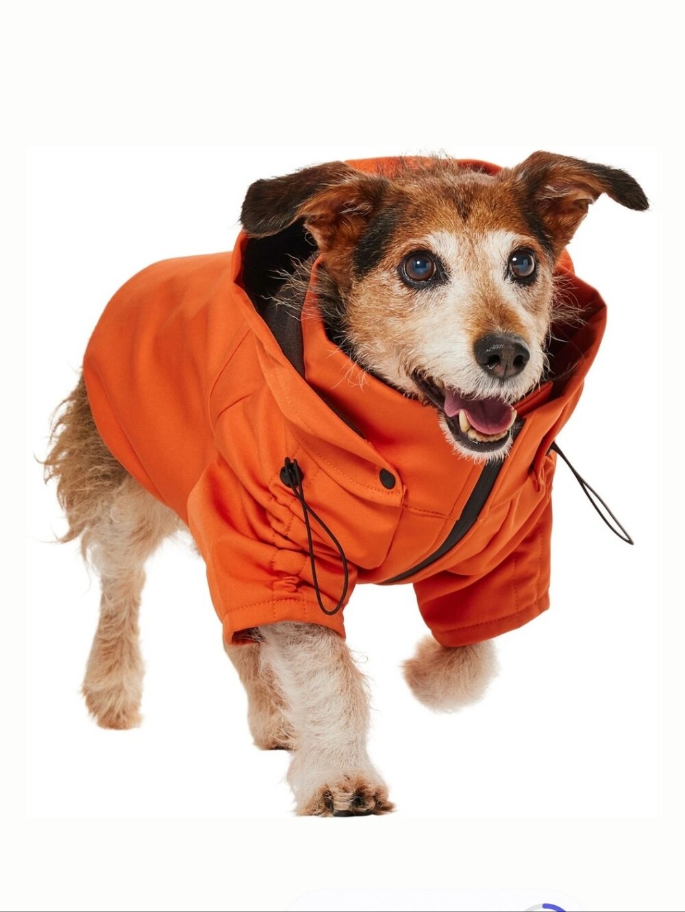Frisco By Chewy Orange Dog Rain Jacket Hooded Waterproof Coat. New With Tags.